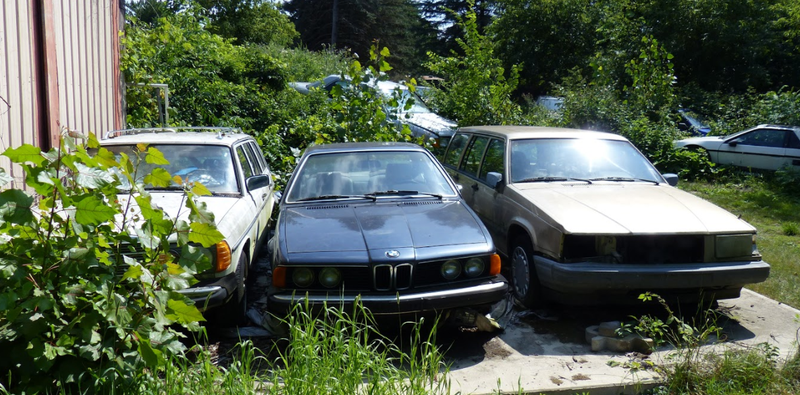 Illustration for article titled A Michigan Town Is Forcing This Man To Sell 20 Old Cars Off His Property Every Month